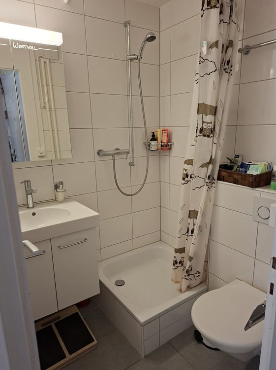 2 ZI-WOHNUNG IN THUN (BE), MÖBLIERT, TEMPORÄR 7