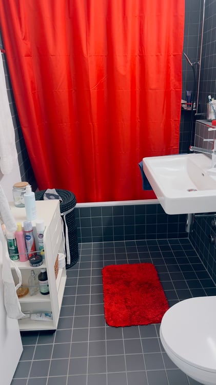 2½ ZIMMER-ATTIKAWOHNUNG IN BADEN (AG), MÖBLIERT, TEMPORÄR 7