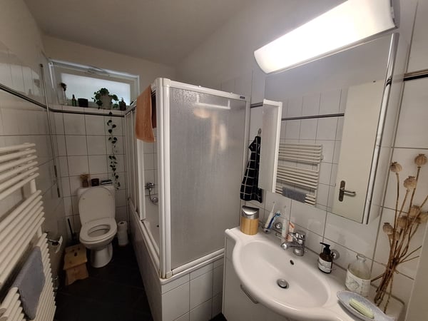 3½ ZI-WOHNUNG IN ZÜRICH - KREIS 10 HÖNGG, MÖBLIERT, TEMPORÄR 7