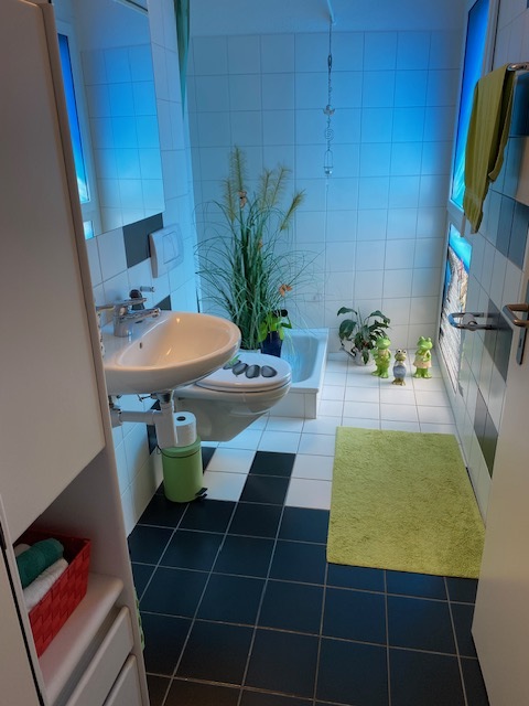 3½ ZI-WOHNUNG IN SCHÖFTLAND (AG), MÖBLIERT, TEMPORÄR 8