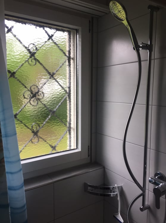 2 ZI-WOHNUNG IN HONDRICH (BE), MÖBLIERT, TEMPORÄR 6