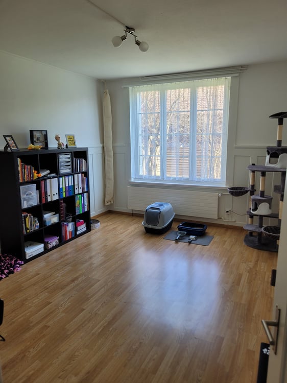 3½ ZI-WOHNUNG IN ENGGISTEIN (BE), MÖBLIERT, TEMPORÄR 7