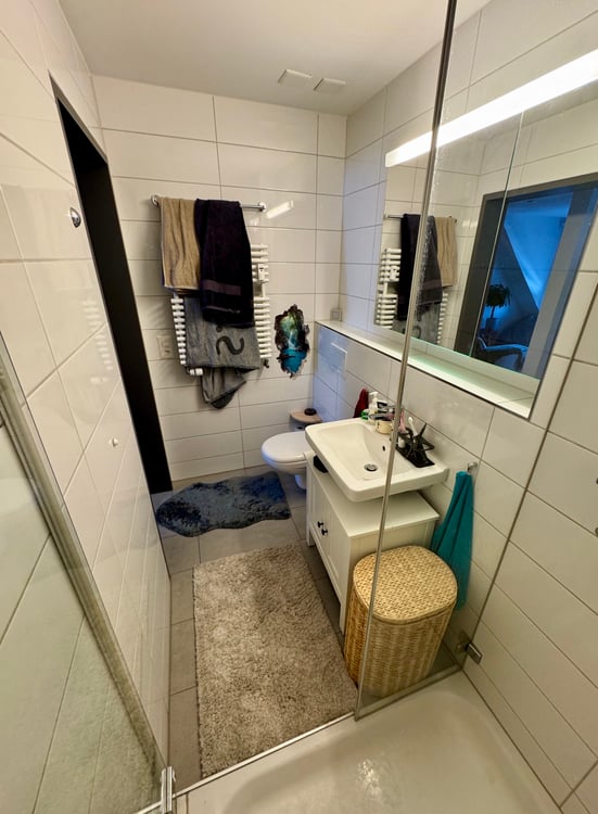 2½ ZIMMER-DACHWOHNUNG IN ZÜRICH - KREIS 10, MÖBLIERT, TEMPORÄR 8