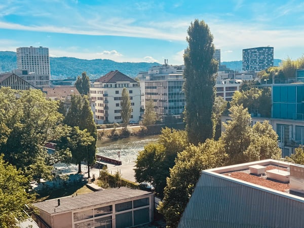 2½ ZIMMER-DACHWOHNUNG IN ZÜRICH - KREIS 10, MÖBLIERT, TEMPORÄR 9