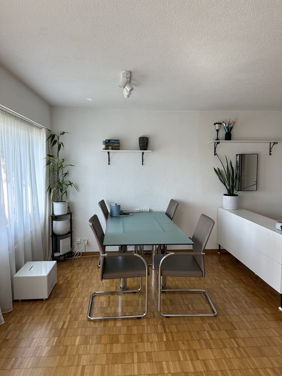2½ ZI-WOHNUNG IN FÄLLANDEN (ZH), MÖBLIERT, TEMPORÄR 7