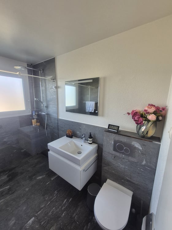 7 ZIMMER-HAUS IN RICHTERSWIL (ZH), MÖBLIERT, TEMPORÄR 8