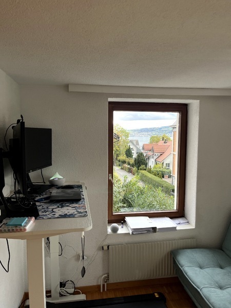 3½ ZI-WOHNUNG IN WÄDENSWIL (ZH), MÖBLIERT, TEMPORÄR 9