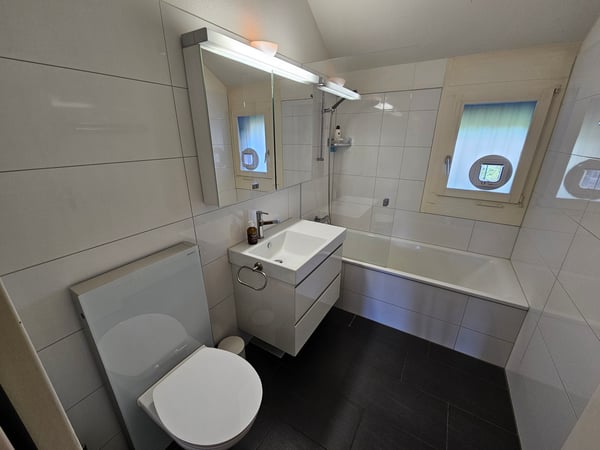 3½ ZI-WOHNUNG IN ZÜRICH - KREIS 9 ALBISRIEDEN, MÖBLIERT, TEMPORÄR 10