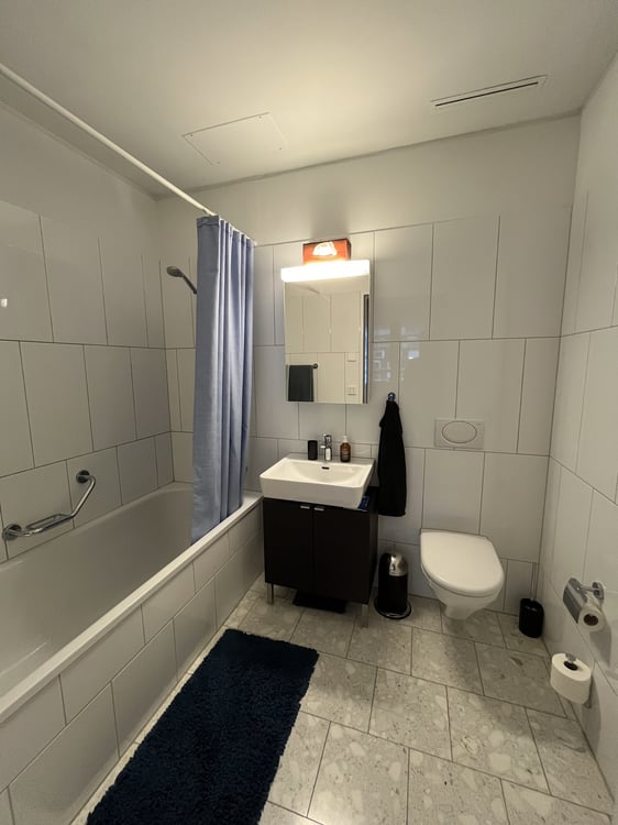 3½ ZI-WOHNUNG IN ZÜRICH - KREIS 5 ESCHER WYSS, MÖBLIERT, TEMPORÄR 9