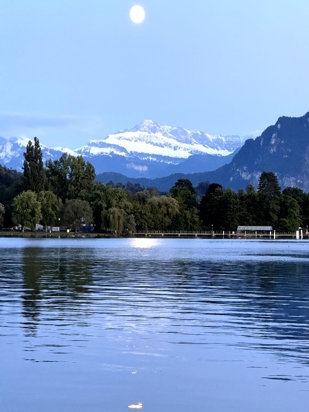 2½ ZI-WOHNUNG IN LUZERN, MÖBLIERT, TEMPORÄR 9