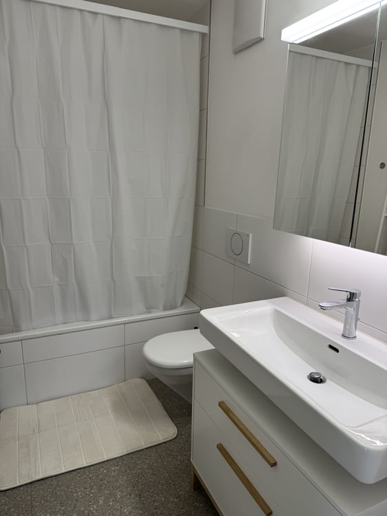 2½ ZI-WOHNUNG IN LUZERN, MÖBLIERT, TEMPORÄR 10