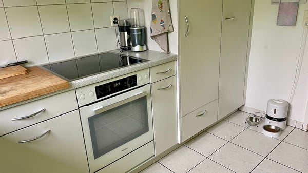 FÜR KATZENLIEBHABER IN RÜSCHLIKON (ZH), MÖBLIERT, TEMPORÄR 4