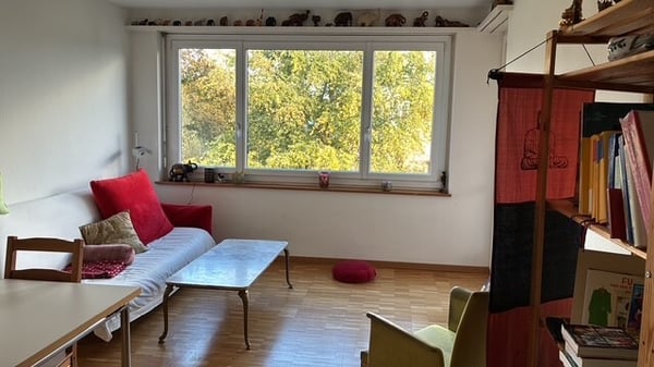 3½ ZI-WOHNUNG IN ZÜRICH - KREIS 3, MÖBLIERT 5