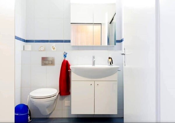 3½ ZI-WOHNUNG IN JONA (SG), MÖBLIERT, TEMPORÄR 5