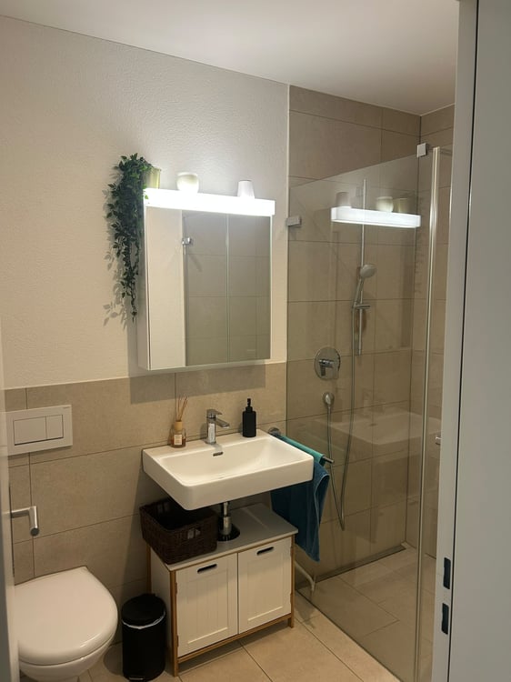 3½ ZI-WOHNUNG IN KLOTEN (ZH), MÖBLIERT, TEMPORÄR 8