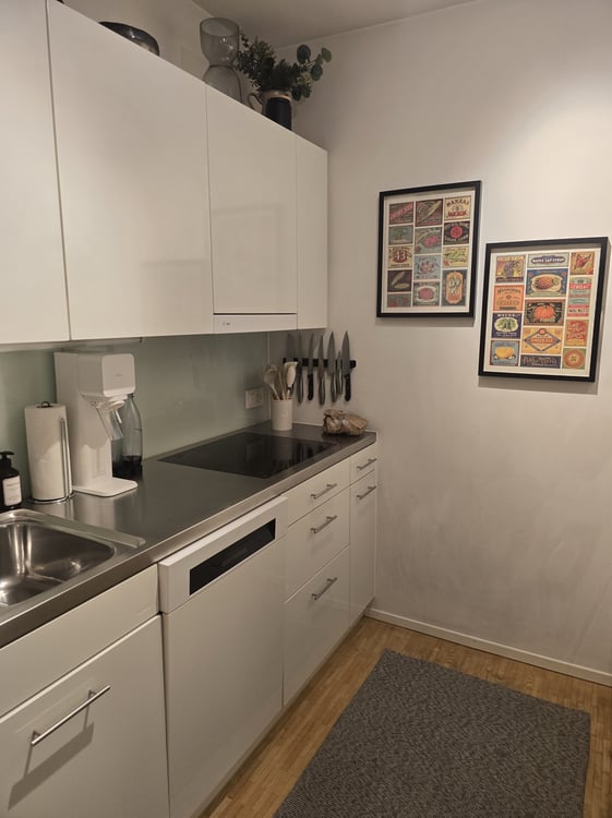 2½ ZI-WOHNUNG IN WINTERTHUR, MÖBLIERT, TEMPORÄR 5