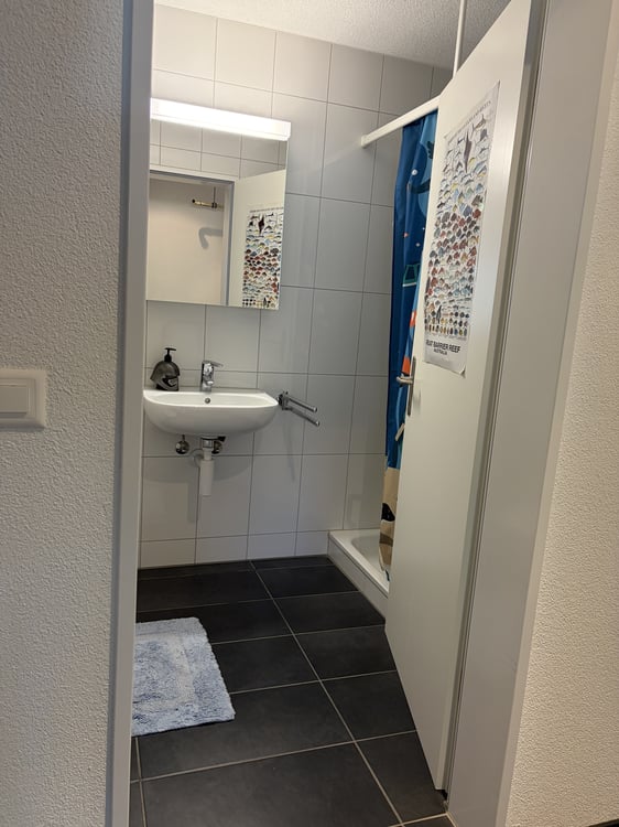 3½ ZI-WOHNUNG IN PERLEN (LU), MÖBLIERT, TEMPORÄR 8