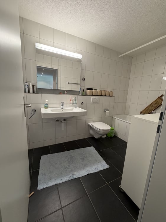 3½ ZI-WOHNUNG IN PERLEN (LU), MÖBLIERT, TEMPORÄR 7