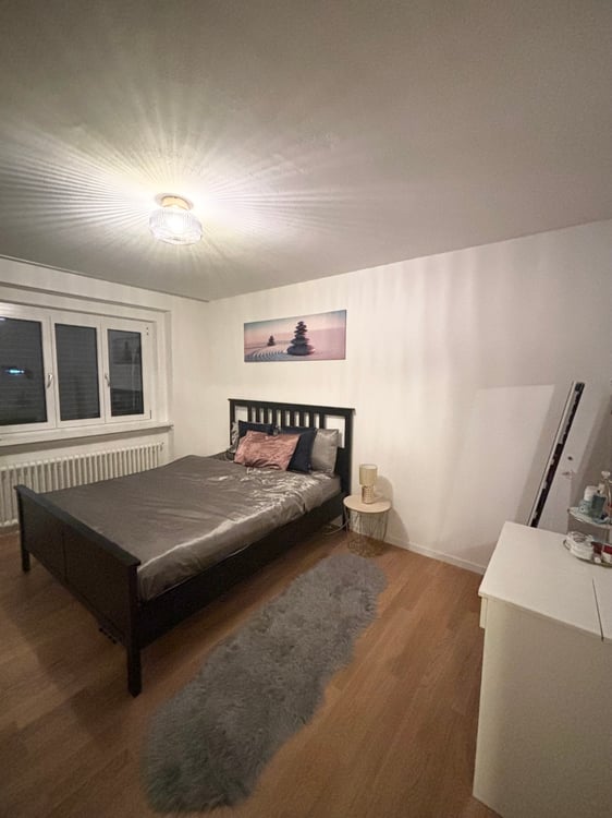 3 ZI-WOHNUNG IN ZÜRICH - KREIS 11 SEEBACH, MÖBLIERT, TEMPORÄR 3
