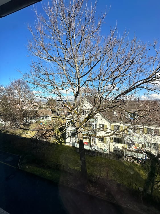 4½ ZI-WOHNUNG IN THALWIL (ZH), MÖBLIERT, TEMPORÄR 7