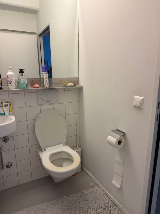 LOFT MIT 138 M²! IN ZURICH (ZH), MÖBLIERT, TEMPORÄR 7