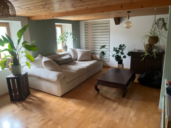 2½ ZI-WOHNUNG IN SPIEZ (BE), MÖBLIERT, TEMPORÄR 4