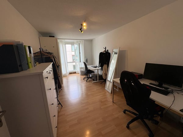 3½ ZI-WOHNUNG IN LUZERN, MÖBLIERT, TEMPORÄR 7