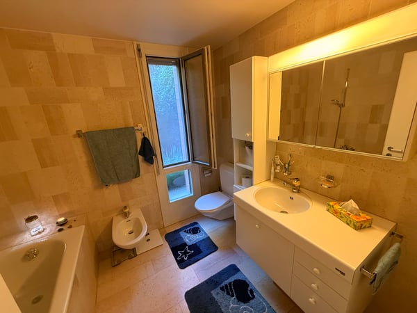 4½ ZI-WOHNUNG IN THUN (BE), MÖBLIERT, TEMPORÄR 8