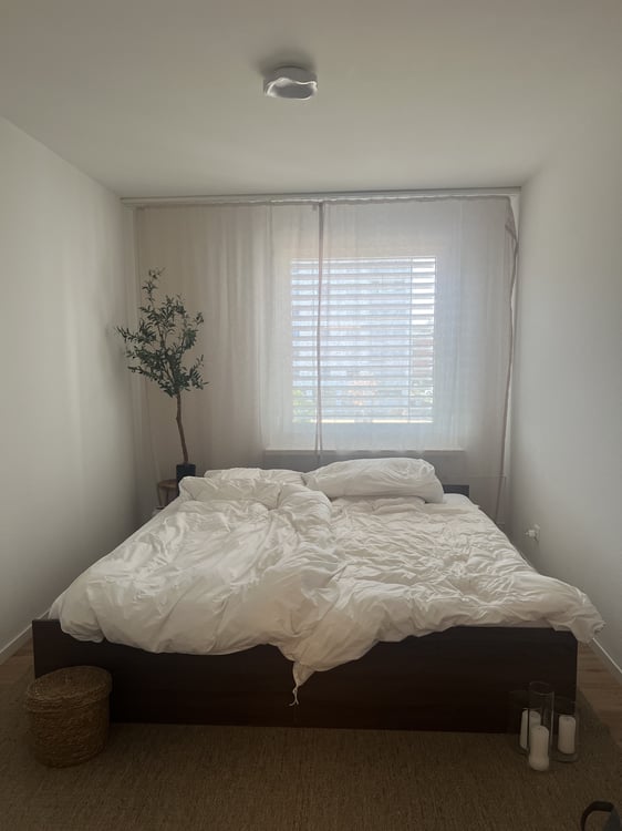 3½ ZI-WOHNUNG IN ALLSCHWIL (BL), MÖBLIERT, TEMPORÄR 4