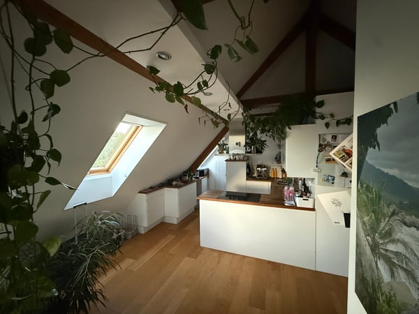 3½ ZI-WOHNUNG IN SOLOTHURN, MÖBLIERT, TEMPORÄR 3