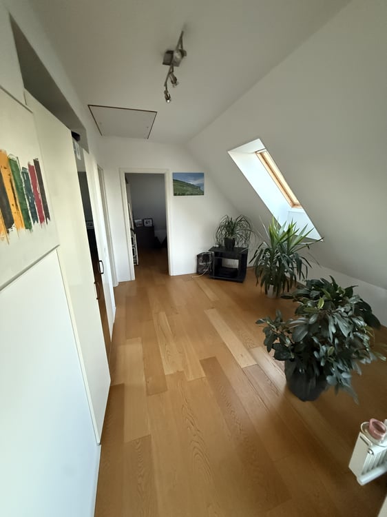 3½ ZI-WOHNUNG IN SOLOTHURN, MÖBLIERT, TEMPORÄR 6