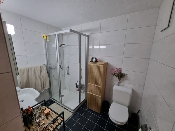 3½ ZI-WOHNUNG IN GOLDAU (SZ), MÖBLIERT, TEMPORÄR 7