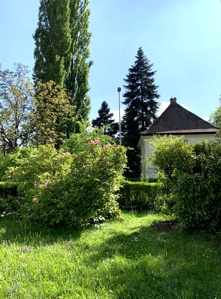 3 ZI-WOHNUNG IN WETTINGEN (AG), MÖBLIERT, TEMPORÄR 8
