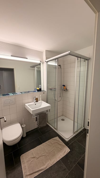4½ ZI-WOHNUNG IN WABERN (BE), MÖBLIERT, TEMPORÄR 7