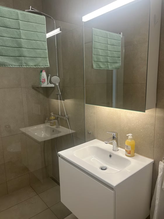 3½ ZI-WOHNUNG IN KRIENS (LU), MÖBLIERT, TEMPORÄR 8