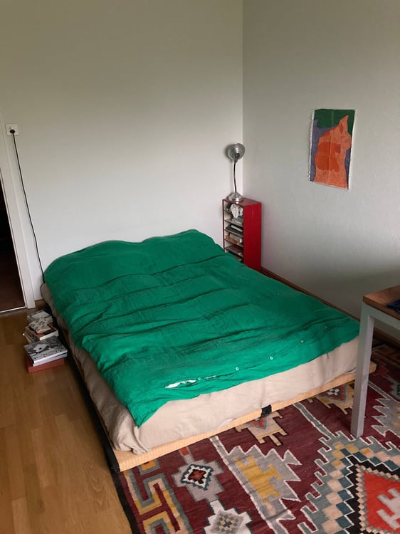 2 ZI-WOHNUNG IN BASEL - ST. JOHANN, MÖBLIERT, TEMPORÄR 6