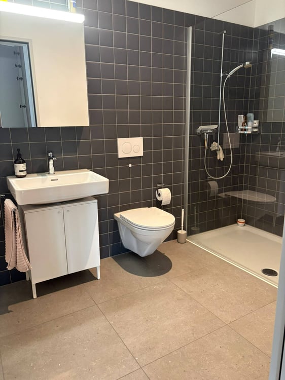 2½ ZI-WOHNUNG IN HORW (LU), MÖBLIERT, TEMPORÄR 7