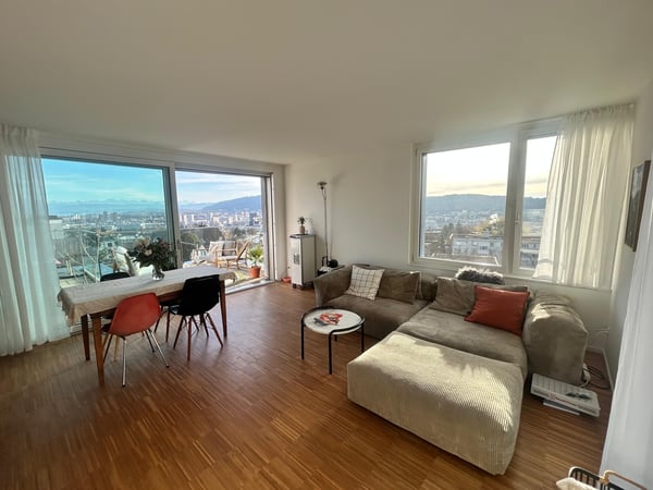 3½ ZIMMER-ATTIKAWOHNUNG IN ZÜRICH - KREIS 10 HÖNGG, MÖBLIERT, TEMPORÄR 2