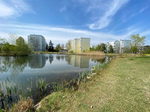 5½ ZI-WOHNUNG IN VOLKETSWIL (ZH), MÖBLIERT 9
