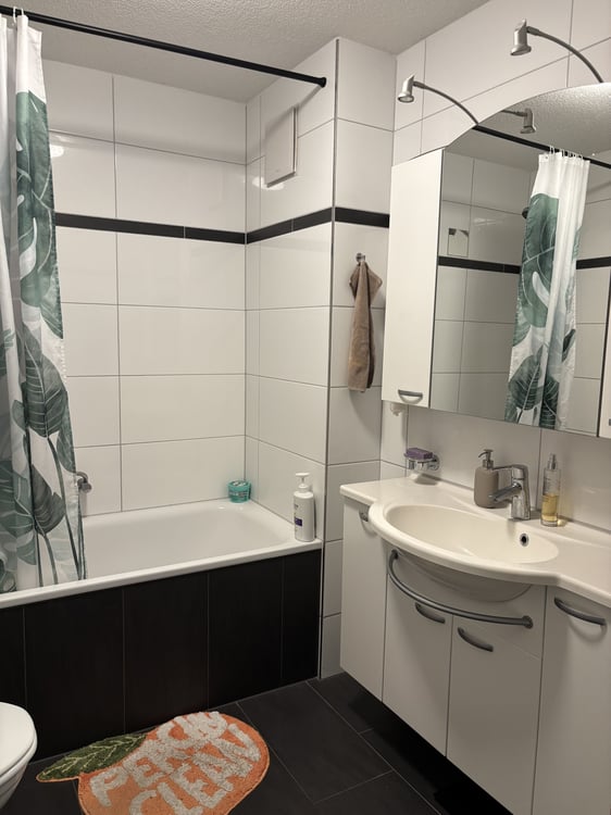 3½ ZI-WOHNUNG IN BIBERIST (SO), MÖBLIERT, TEMPORÄR 5