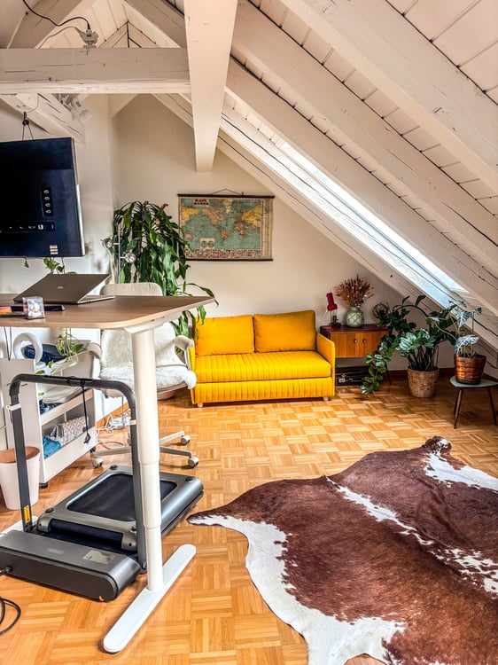 3½ ZIMMER-ATTIKAWOHNUNG IN ZÜRICH - KREIS 3 WIEDIKON, MÖBLIERT, TEMPOR 6