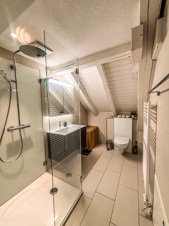 3½ ZIMMER-ATTIKAWOHNUNG IN ZÜRICH - KREIS 3 WIEDIKON, MÖBLIERT, TEMPOR 5