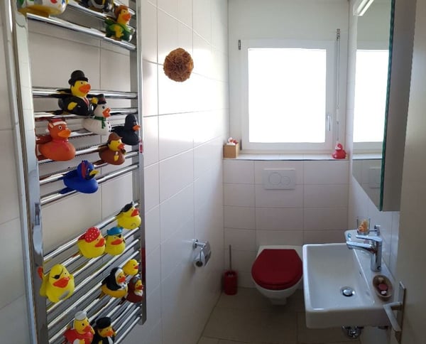 3½ ZIMMER-ATTIKAWOHNUNG IN ZÜRICH - KREIS 11 OERLIKON, MÖBLIERT, TEMPO 8