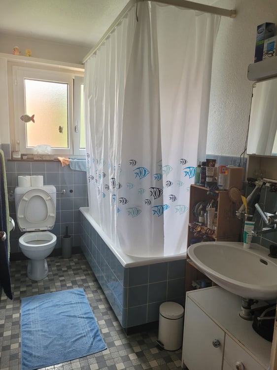 3½ ZI-WOHNUNG IN CHAM (ZG), MÖBLIERT, TEMPORÄR 5