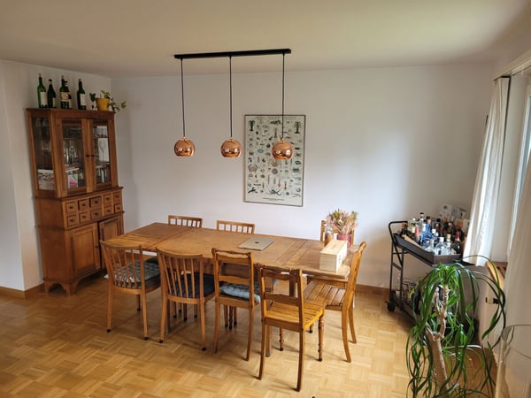 3½ ZI-WOHNUNG IN CHAM (ZG), MÖBLIERT, TEMPORÄR 2