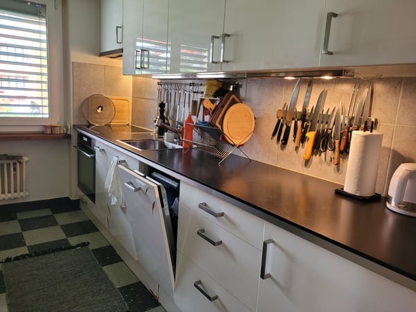 3½ ZI-WOHNUNG IN CHAM (ZG), MÖBLIERT, TEMPORÄR 3