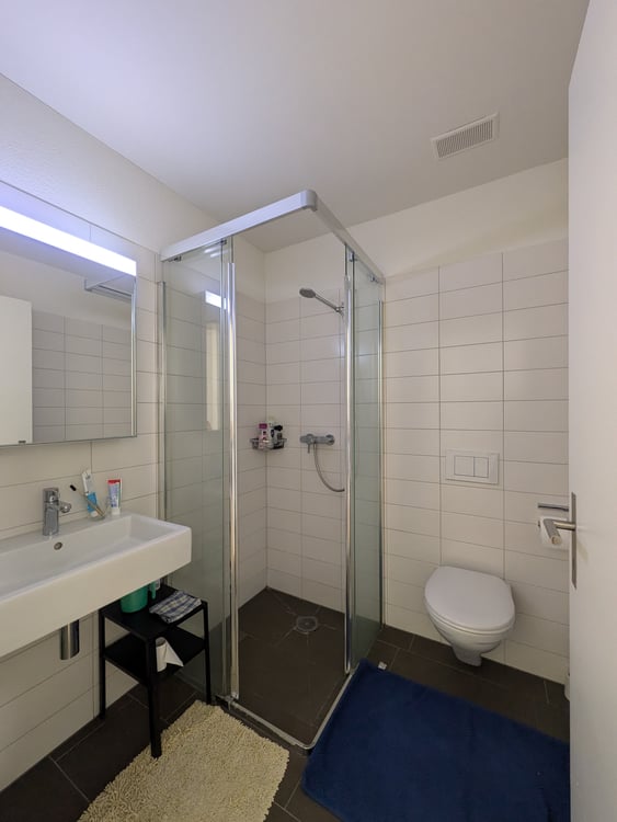 3½ ZI-WOHNUNG IN GLATTPARK (OPFIKON), MÖBLIERT, TEMPORÄR 6