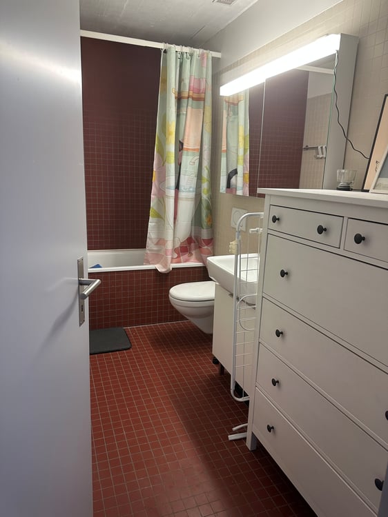 3½ ZI-WOHNUNG IN WALLISELLEN (ZH), MÖBLIERT, TEMPORÄR 10