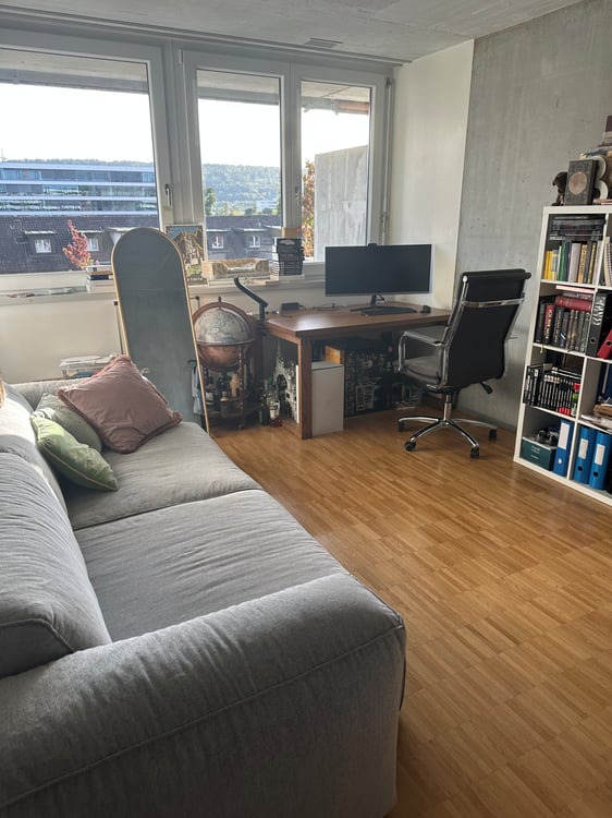 3½ ZI-WOHNUNG IN WALLISELLEN (ZH), MÖBLIERT, TEMPORÄR 3