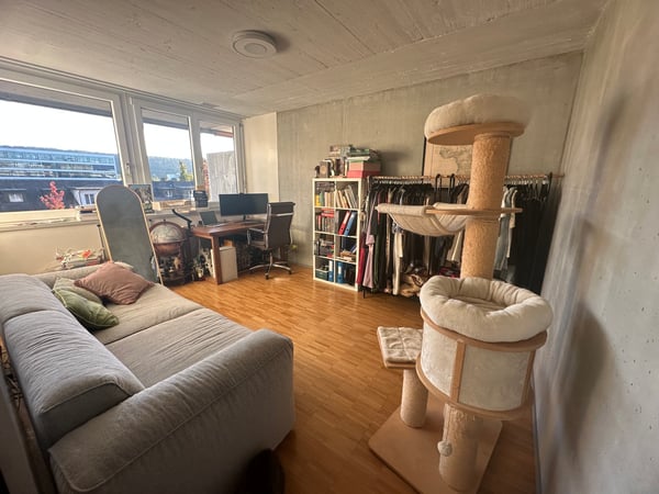 3½ ZI-WOHNUNG IN WALLISELLEN (ZH), MÖBLIERT, TEMPORÄR 10